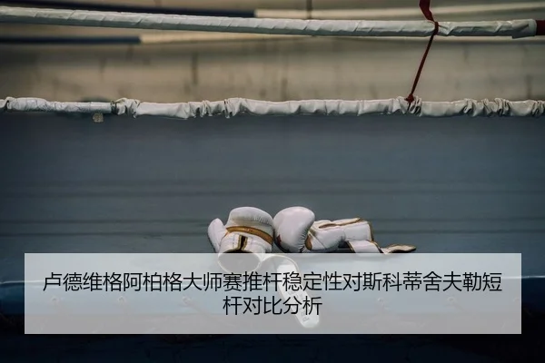 卢德维格阿柏格大师赛推杆稳定性对斯科蒂舍夫勒短杆对比分析